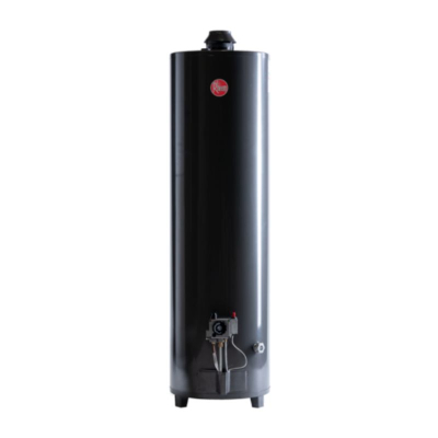 Termotanque Rheem 160L Alta Potencia De Pie / C Sup / Sal. Vert.