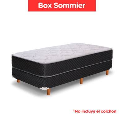Box Sommier Cannon Princess 100X190X21 (Sin Colchon)