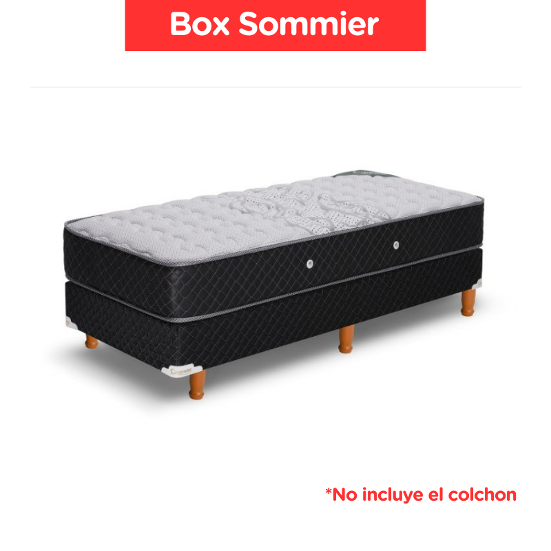 Box Sommier Cannon Renov/Doral/D Pillow 100X190X21 (Sin Colchon)