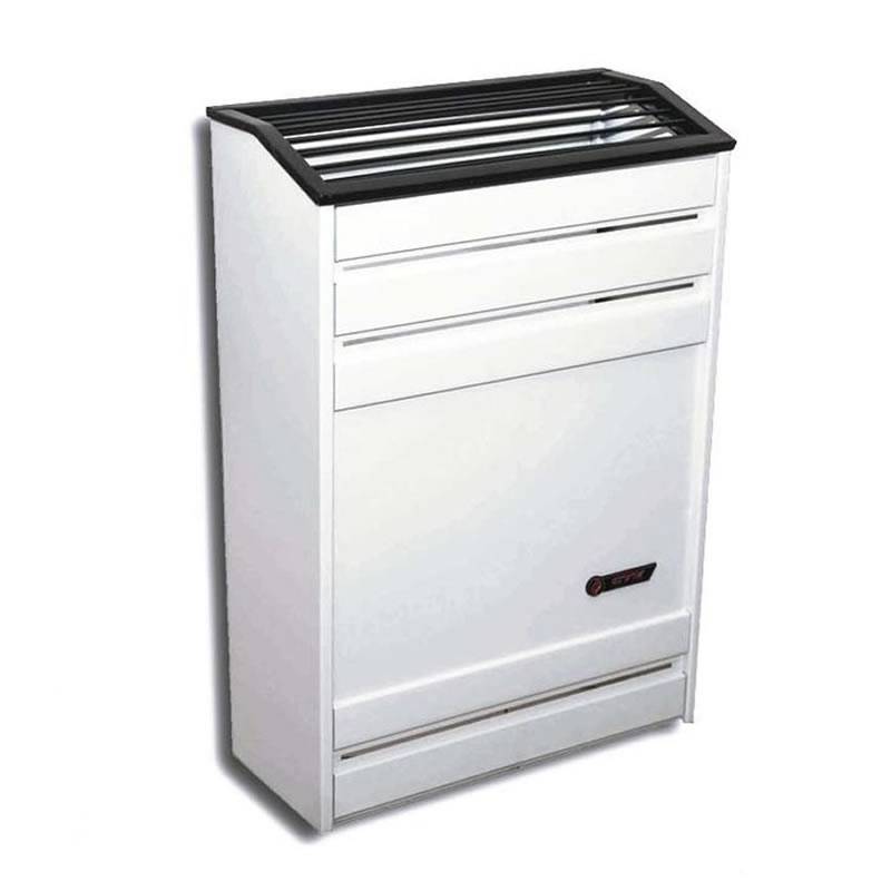 Calefactor Ctz 4000 Tbu