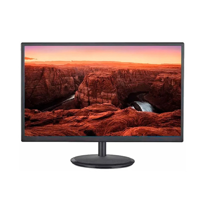 Monitor 19